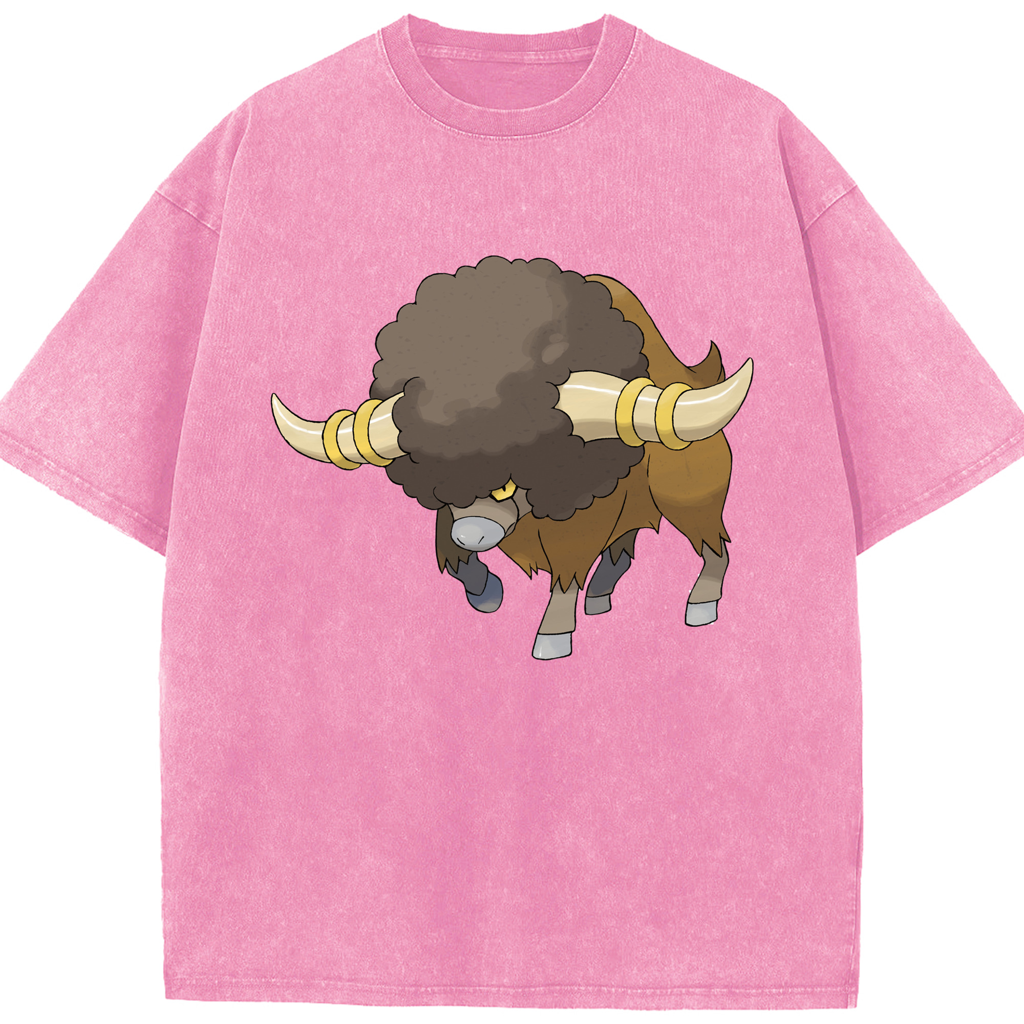 （画像用） ポケットモンスター Pokémon 綿100% ヴィンテージ風 半袖Tシャツ（フロントプリント）
